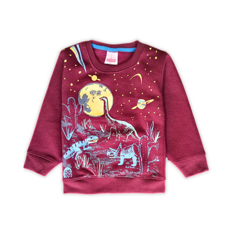 Boys' Multi Dinosaur Sweatshirt