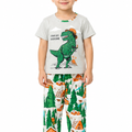 Kids Dino Print Night Suit - Gray & Green