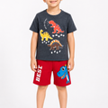 Kids Roar 3 Dino 2Pcs Suit - Gray & Red